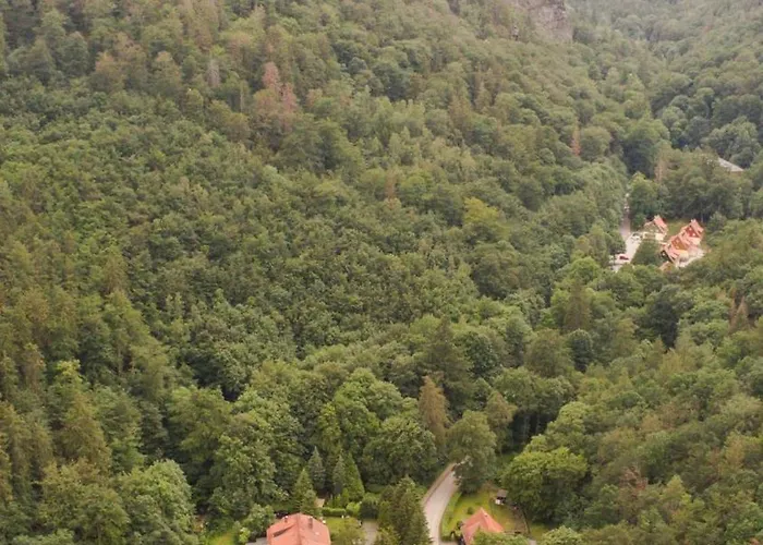 Prázdninový dům Ferienhaeuser Am Brocken, 80 Qm, 3 Schlafzimmer
